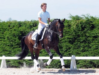 sold-to-belgium-rubiquil-x-don-romantic