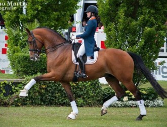 sold-to-the-netherlands-united-x-farrington